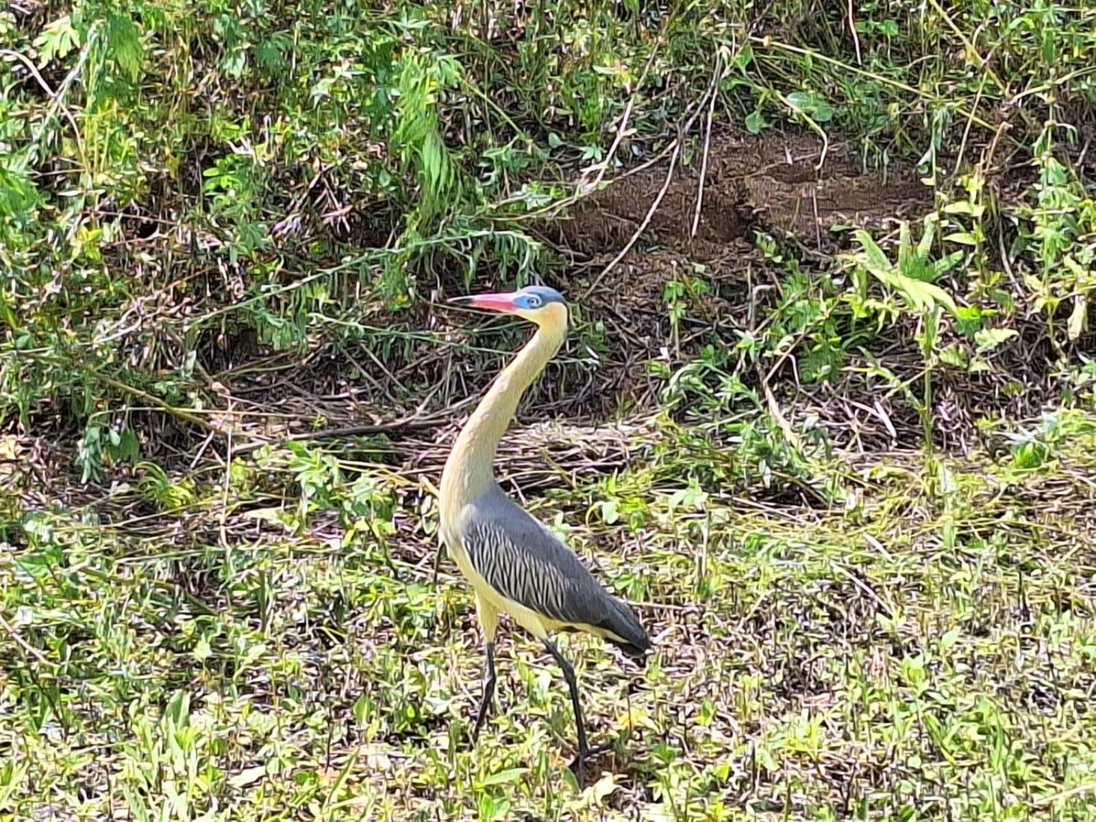 Pousada Dubaldo Оламбра Екстер'єр фото